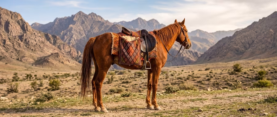 Khurjin: Afghanistan's Handwoven Wool Saddlebag