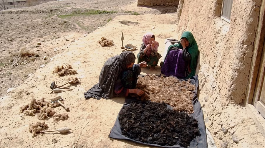 Afghan women drying washed wool in the sun